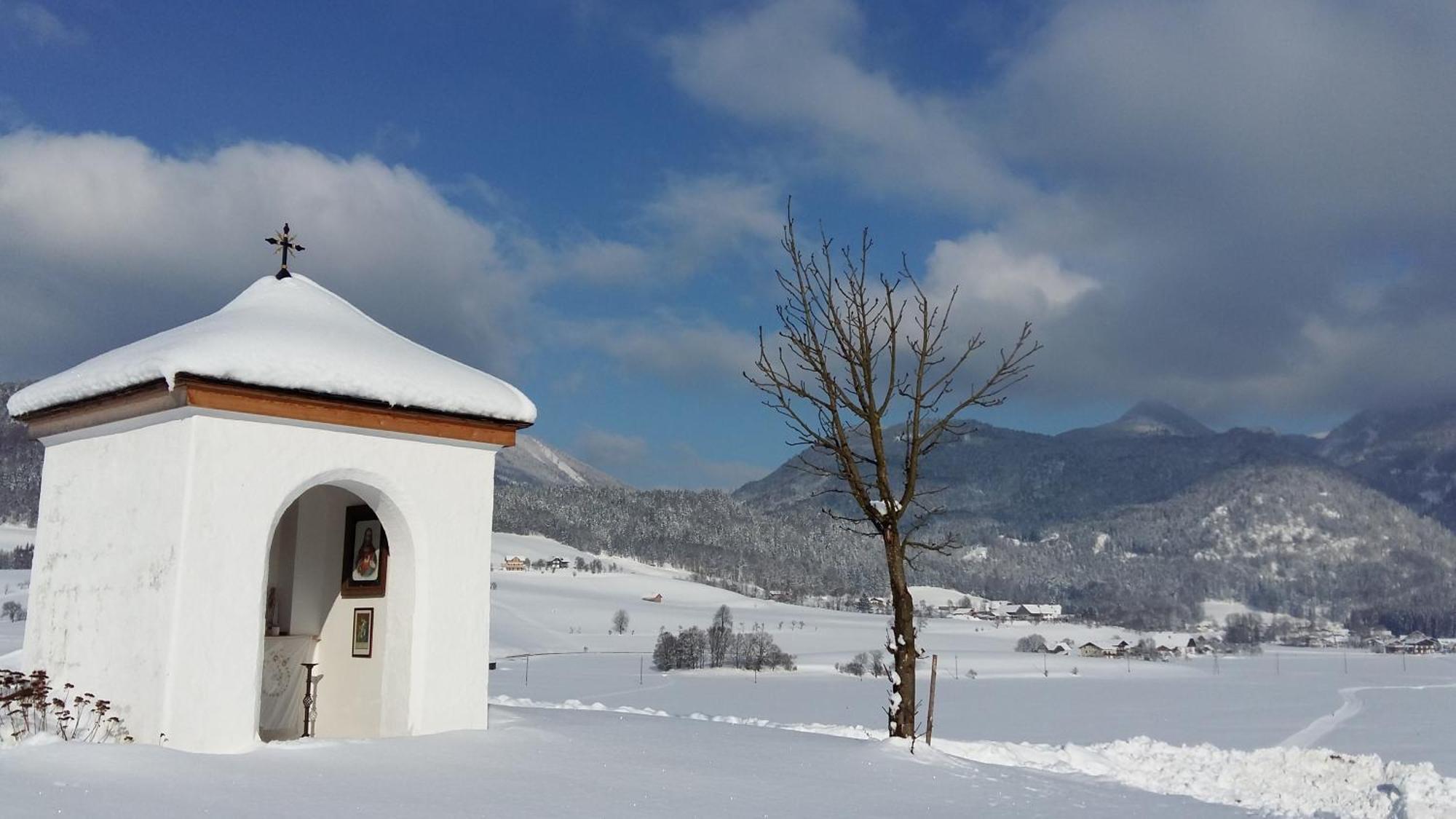 Villa Weinbachbauer - Urlaub Am Bauernhof Saint Wolfgang Esterno foto