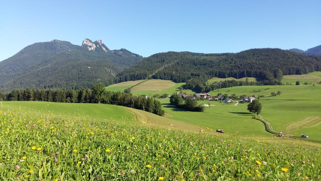 Villa Weinbachbauer - Urlaub Am Bauernhof Saint Wolfgang Esterno foto